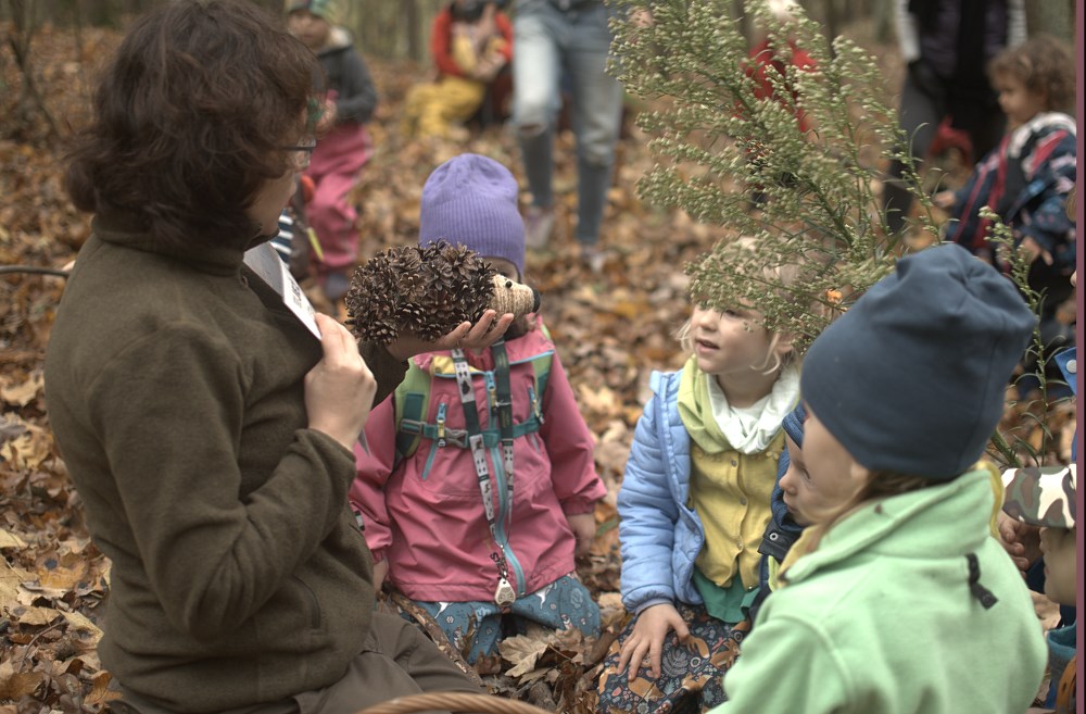 Zdjęcie przedstawia zajęcia terenowe z przedszkolakami z Niepublicznego Punktu Przedszkolnego "Przedszkole leśne Leśne Gzubki" w dniu jeża. Fot. Archiwum Nadleśnictwa Łopuchówko