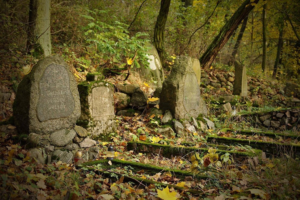 Zdjęcie przedstawia cmentarz rodziny von Treskow z mogiłami dawnych właścicieli. Fot. Daniel Sypniewski 