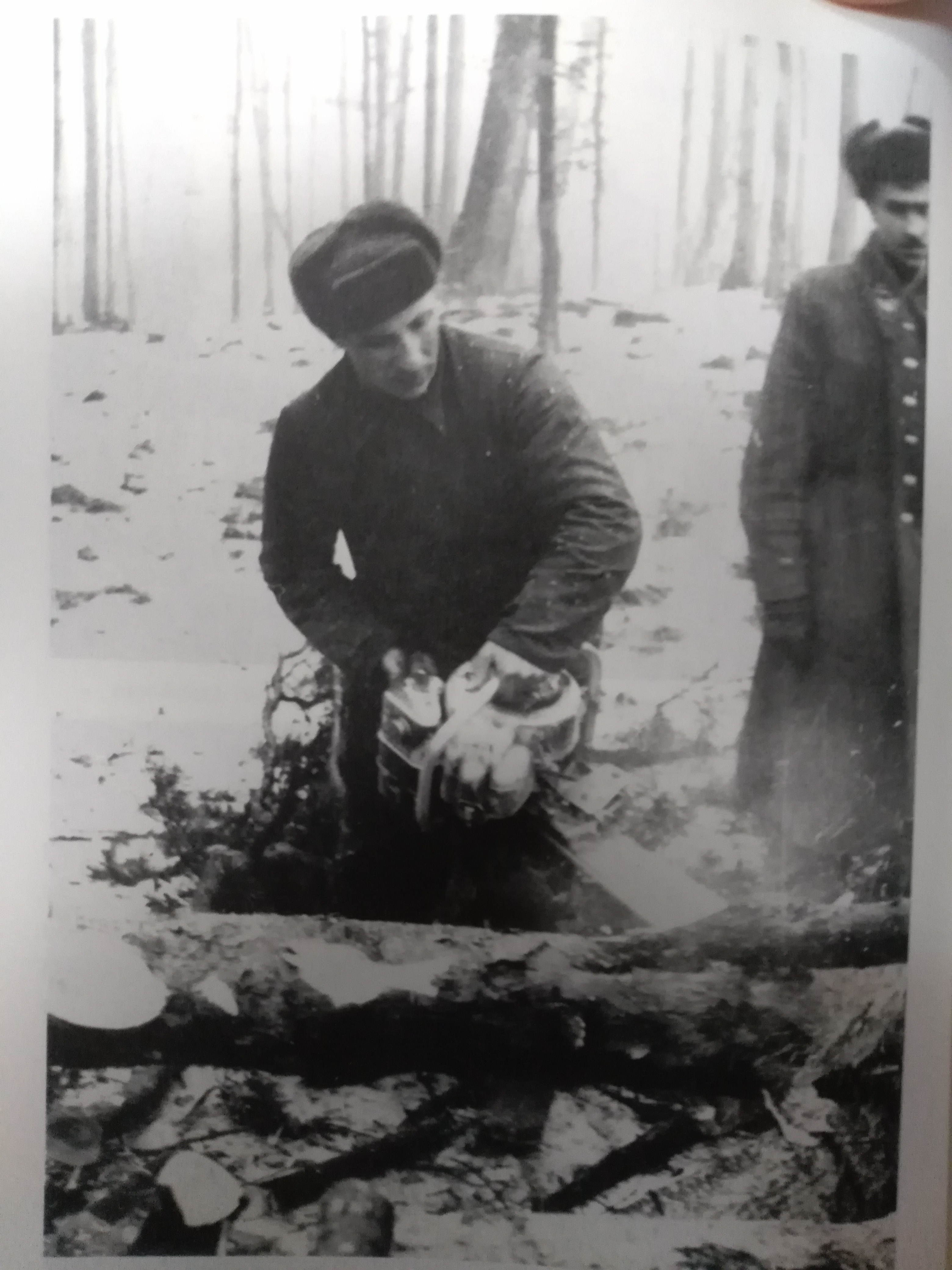 Zdjęcie przedstawia prace zrębowe przy użyciu pilarki BK3a - drwal Z. Malczewski. Źródło: Nadleśnictwo Łopuchówko - Rys historyczny.