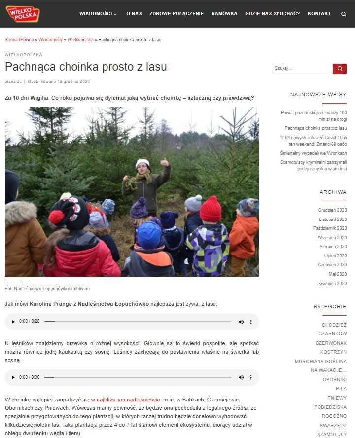 Zdjęcie przedstawia fragment artykułu o choinkach na stronie Radio Wielkopolska.
