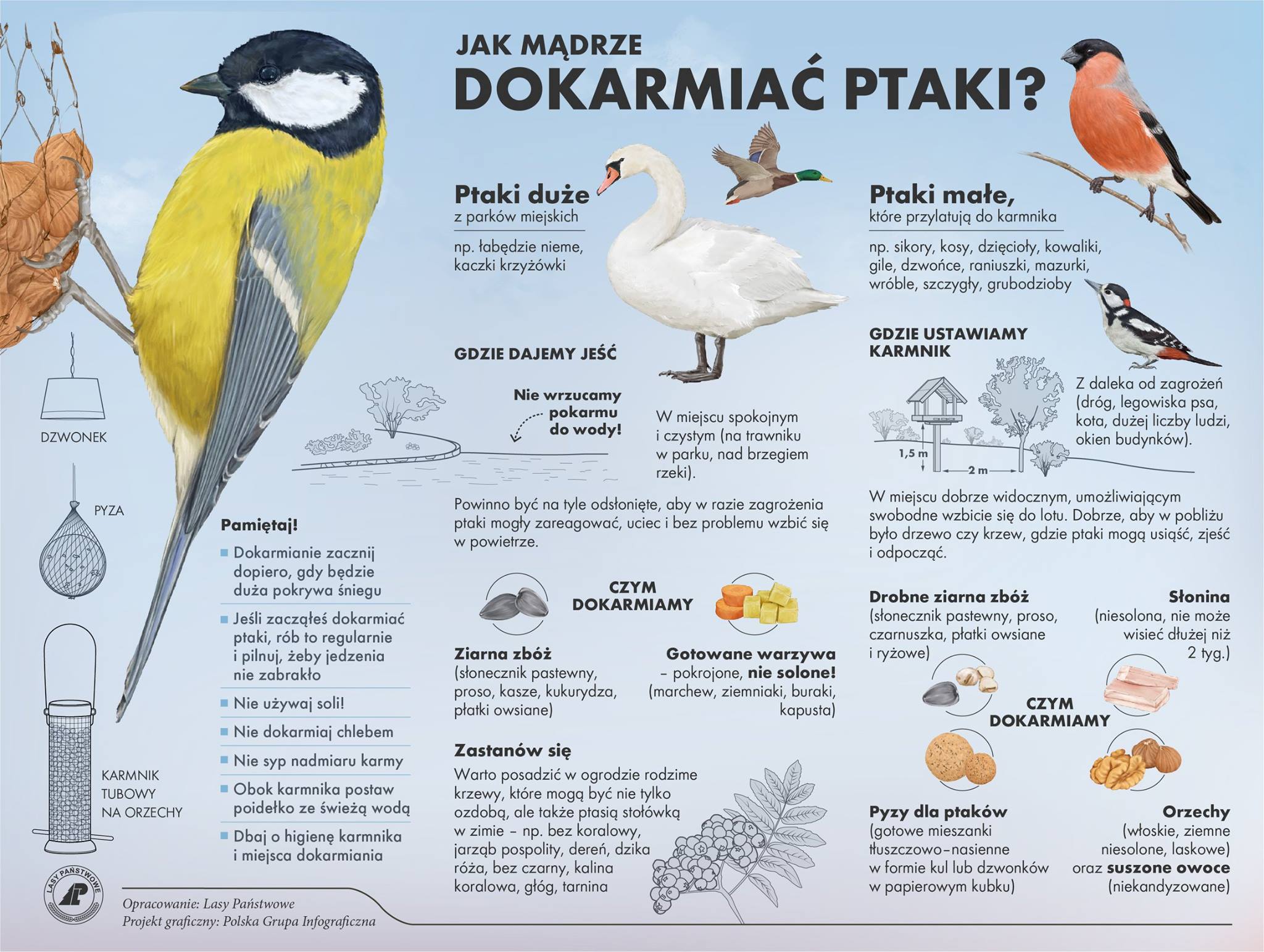 Infografika CILP przedstawia wskazówki, jak mądrze dokarmiać ptaki zimą.