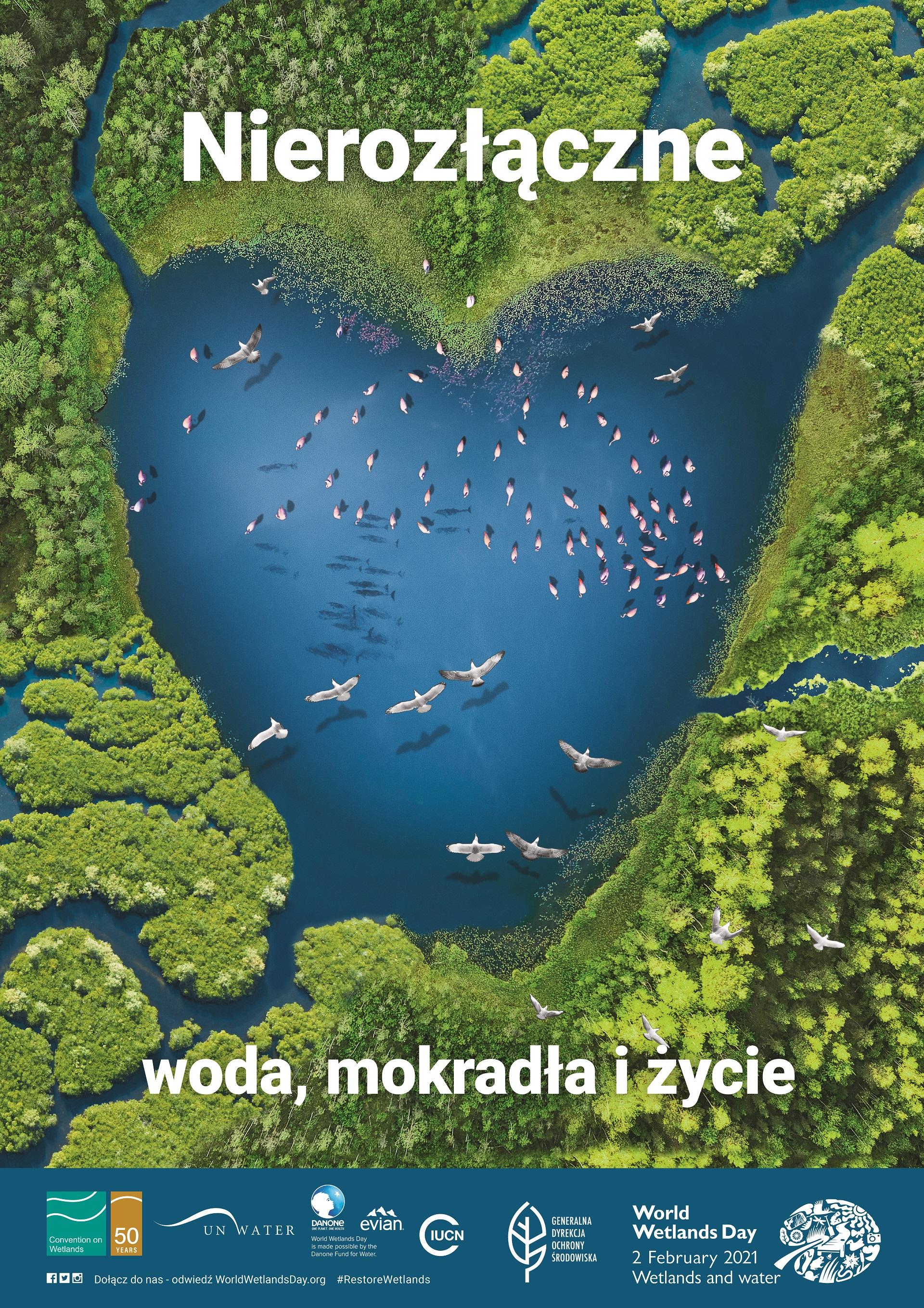 Zdjęcie przedstawia plakat tegorocznego Dnia Mokradeł. Źródło: Generalna Dyrekcja Ochrony Środowiska. 