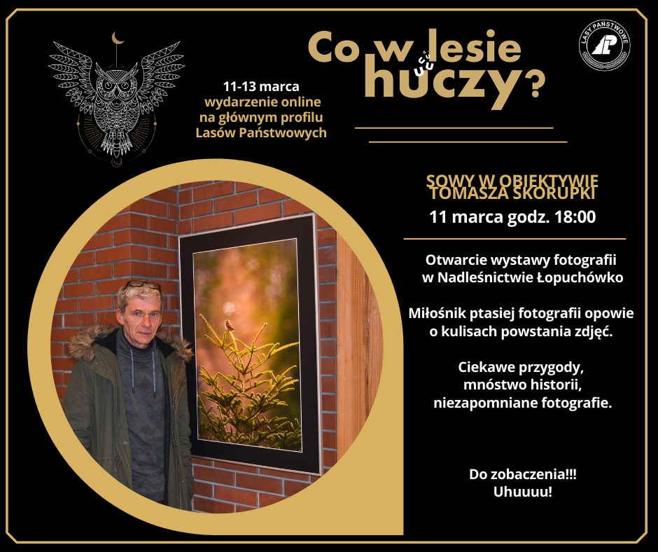 Infografika z zapowiedzią otwarcia wystawy on-line pt. "Sowy w obiektywie" w Nadleśnictwie Łopuchówko. 