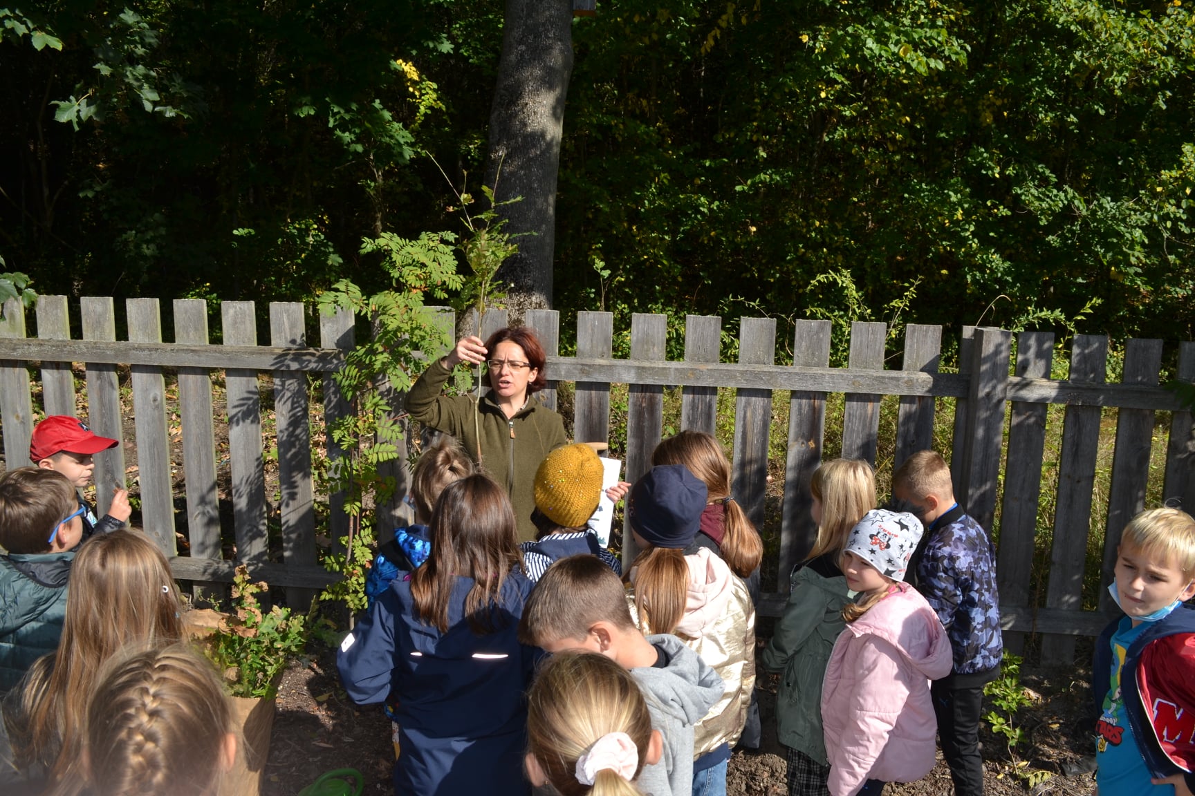 Na zdjęciu edukator leśny Karolina Prange przedstawia uczniom Szkoły Podstawowej w Wirach prawidłowy sposób sadzenia dębów. Fot. Archiwum Nadleśnictwa