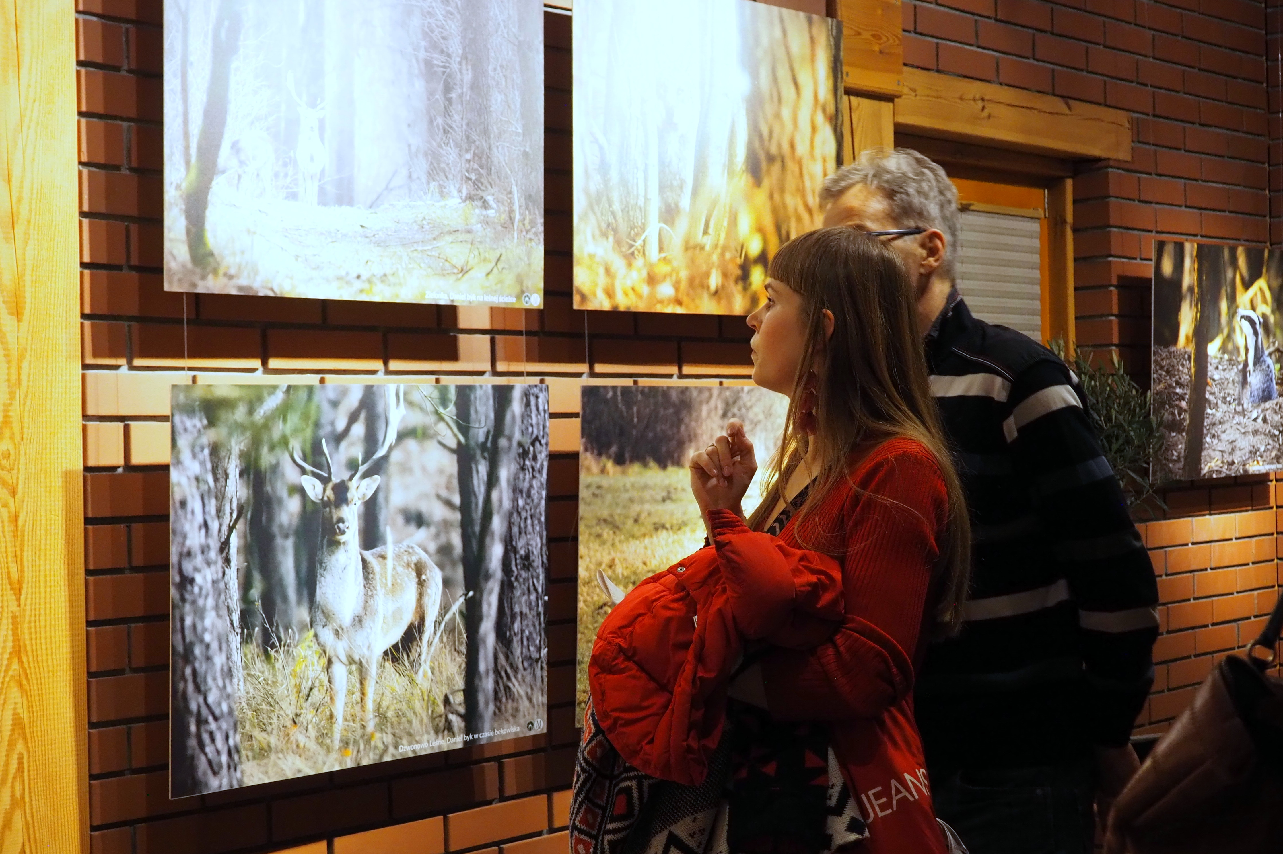 Zdjęcie przedstawia uczestników wernisażu podczas oglądania wystawy. Fot. P. Kaźmierczak
