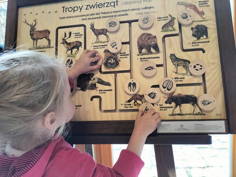 Zdjęcie przedstawia grę "Tropy zwierząt" wykorzystaną podczas stoiska edukacyjnego, zakupioną w ramach przedsięwzięcia. Fot. R. Magda