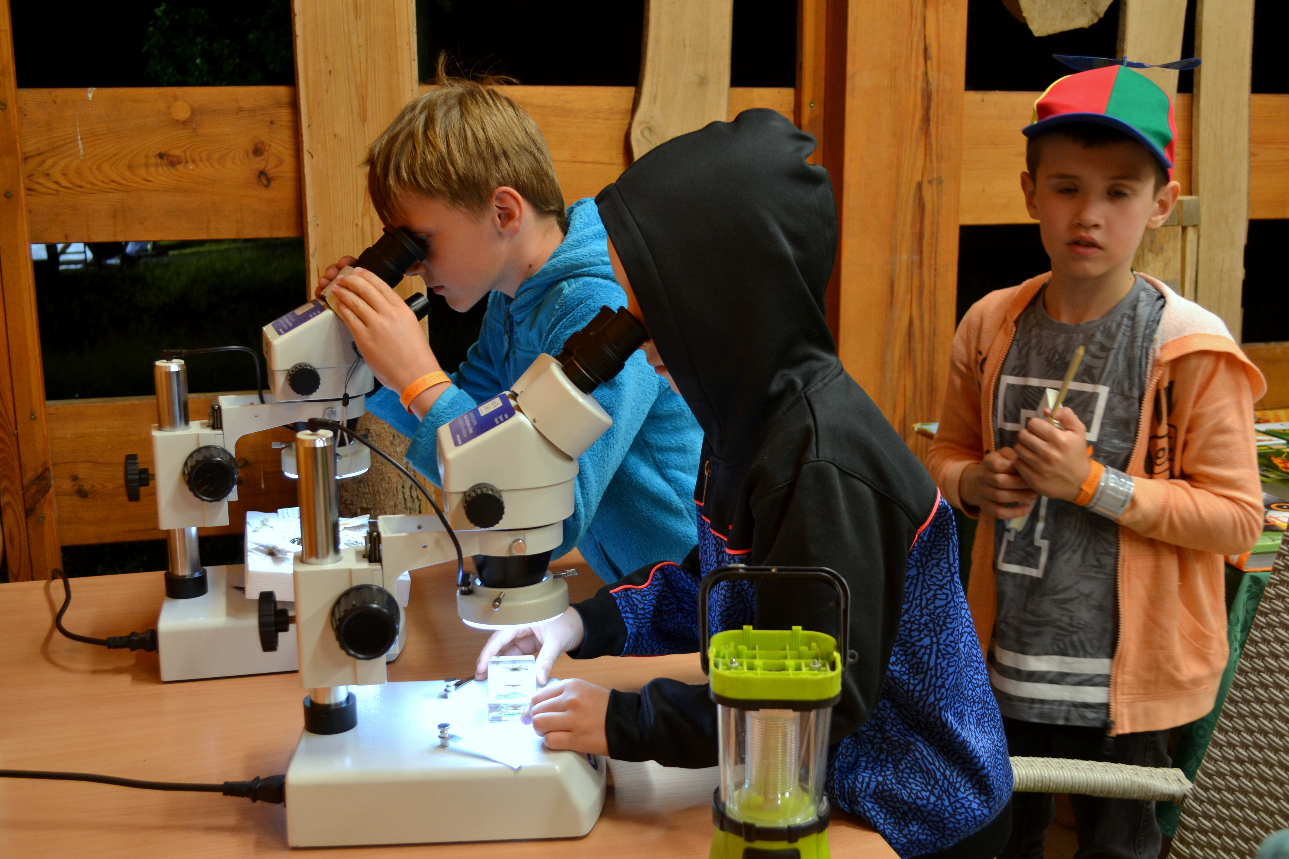 Zdjęcie przedstawia uczestników NOCy CIEMnej podczas obserwacji mikroskopowych. Fot. P. Kaźmierczak