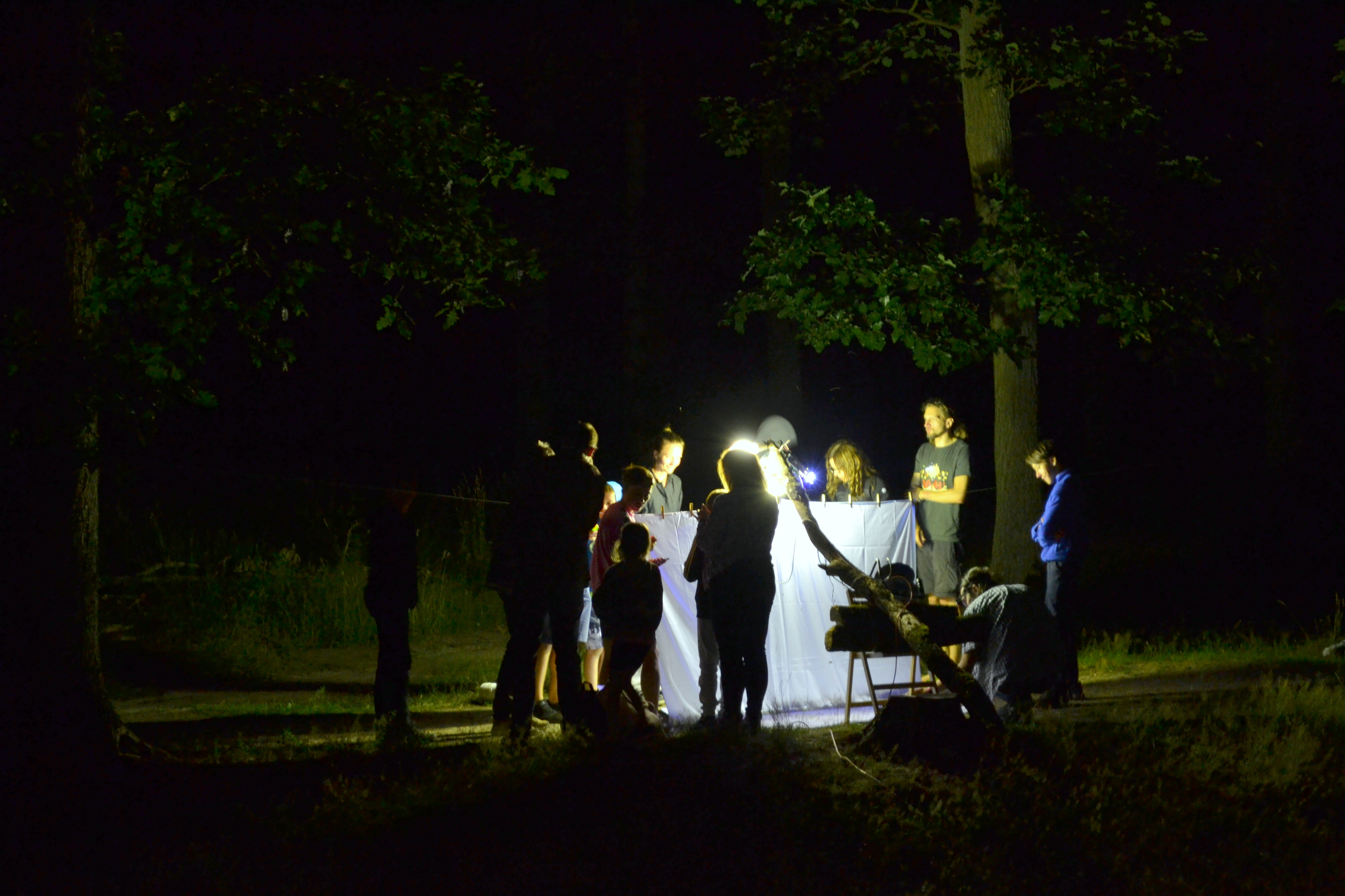 Fot. Zdjęcie przedstawia obserwacje motyli nocnych przy ekranie. Fot. P. Kaźmierczak