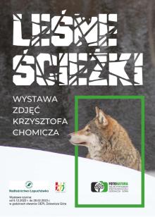 Wernisaż wystawy Krzysztofa Chomicza "Leśne Ścieżki"
