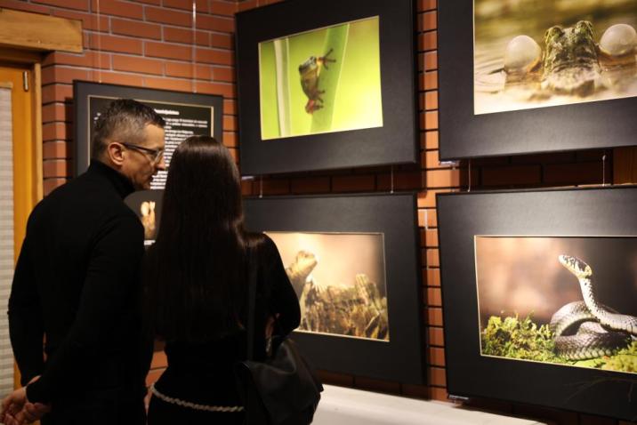 Zdjęcie przedstawia uczestników wernisażu podczas oglądania wystawy. Fot. P. Kaźmierczak